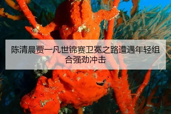 陈清晨贾一凡世锦赛卫冕之路遭遇年轻组合强劲冲击