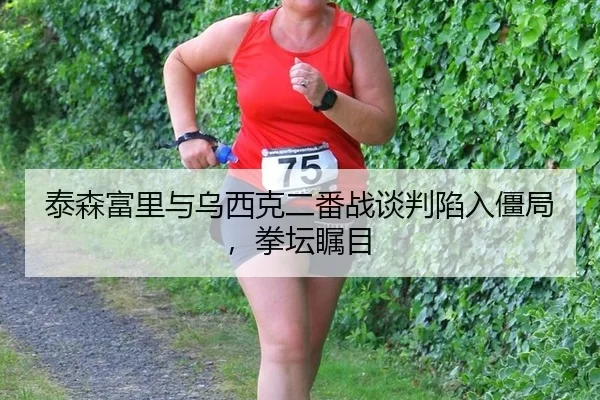 泰森富里与乌西克二番战谈判陷入僵局，拳坛瞩目